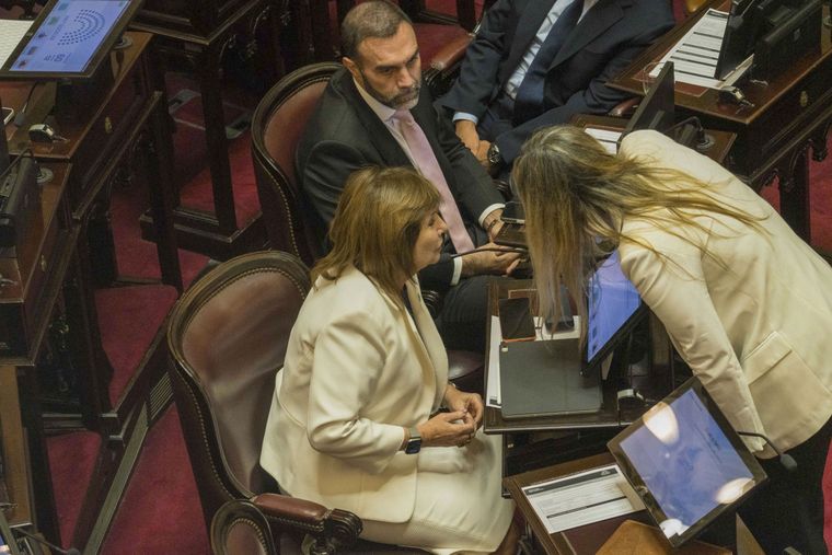 Ley de Glaciares - Acuerdo Mercosur UE -Senadores - Patricia Bullrich (7)