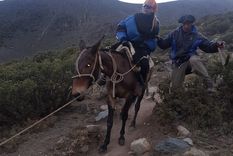 La mujer fue bajada en mula con la asistencia de un arriero, guías y otros andinistas
