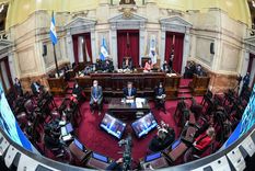 #perlita: llamativo apoyo de un periodista de c5n a una senadora radical