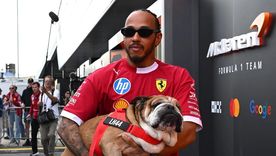 Lewis Hamilton solía llevar a su perro a los Grandes Premios. Foto: NA. Lewis Hamilton solía llevar a su perro a los Grandes Premios. Foto: NA.