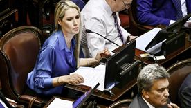 El Senado aprobó el proyecto de ley de la suspensión de las PASO. Foto: NA