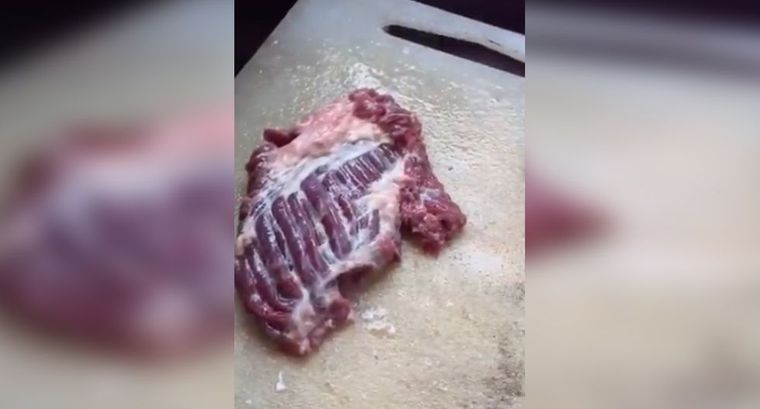 Carne cruda que se mueve.