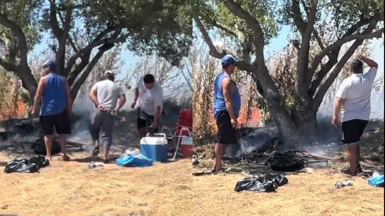Un hombre expuso el accionar del grupo de amigos Foto: TikTok @maxidrums1