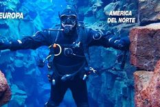 Este lugar es uno de los 10 mejores del mundo para bucear Este lugar es uno de los 10 mejores del mundo para bucear