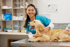 Los nuevos collares de Satellai fueron presentados en el CES 2026.