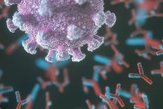 El gen LZTFL1 juega un papel en la gravedad de la covid, según un nuevo estudio. La mayoría de la población de ascendencia del sur de Asia porta este gen. Foto: GETTY IMAGES