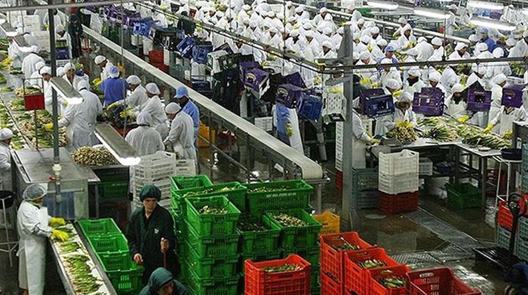 Imagen ilustrativa Foto: cafeviena