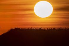 en 50 anos, un tercio de la poblacion mundial sufrira calores extremos como en el sahara en 50 anos, un tercio de la poblacion mundial sufrira calores extremos como en el sahara