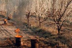 Foto: El Cuco Digital