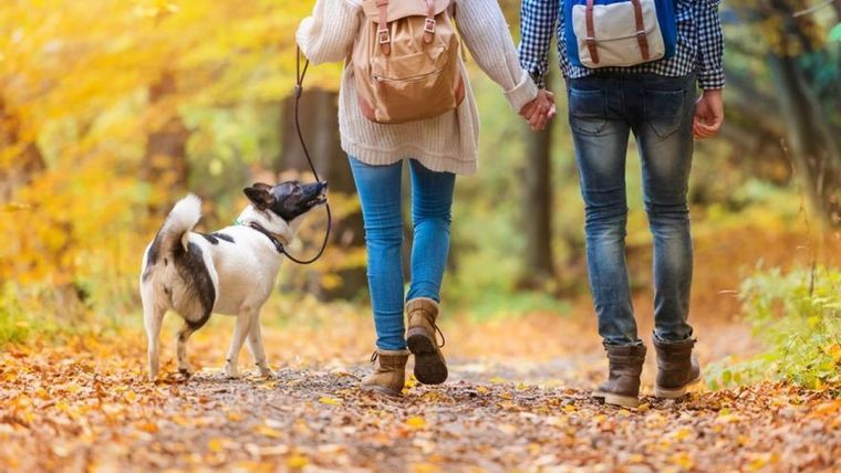 Cada paso que damos genera un mayor bienestar y equilibrio. Foto: Archivo