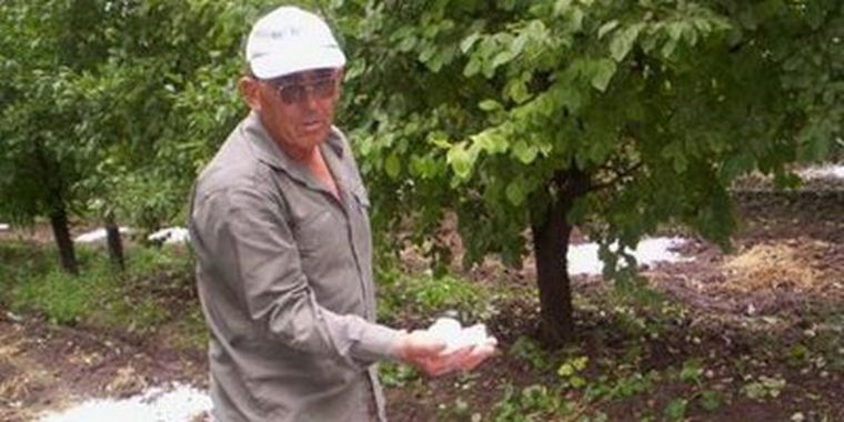 Los productores afectados en el Este cobran por contingencias sufridas. Foto: Web