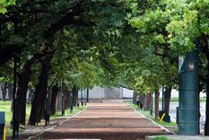 Una entidad denuncia que las especies del parque se están secando . Foto: ALF PONCE / MDZ Una entidad denuncia que las especies del parque se están secando . Foto: ALF PONCE / MDZ