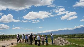 Se trata de la segunda visita que realizan los referentes del Institute of Masters of Wine (IMW), la anterior fue en 2018. Foto: WofA