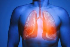 la extraordinaria habilidad de los pulmones para reparar el dano causado por fumar (solo si dejas de hacerlo)