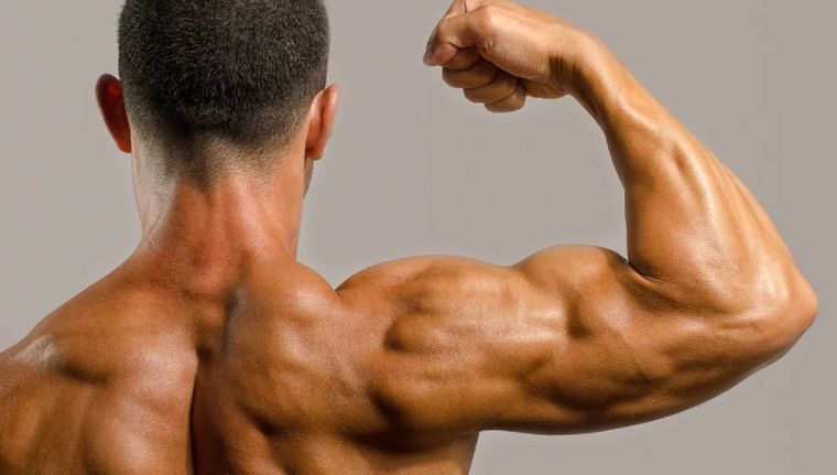Cómo lograr unos tríceps de acero (Shutterstock) Foto: Archivo