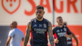 En Portugal aseguran que Nicolás Otamendi ya tomó una decisión. En Portugal aseguran que Nicolás Otamendi ya tomó una decisión.