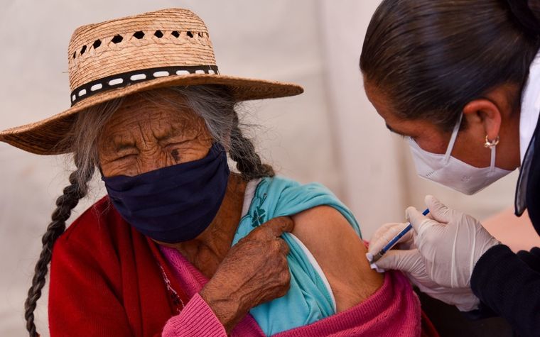 La vacuna Novavax está más cerca de ser fabricada a gran escala y distribuida