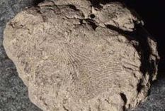 hallan huellas dactilares de mas de 10.000 anos