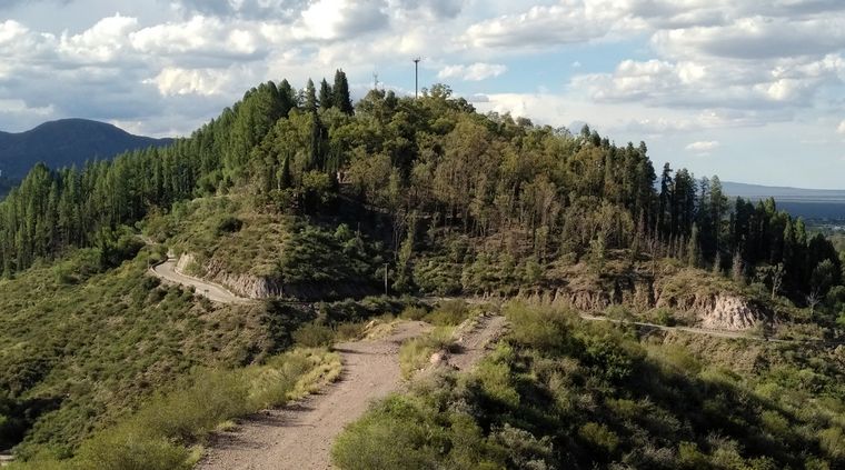 Foto: ALF PONCE MERCADO / MDZ