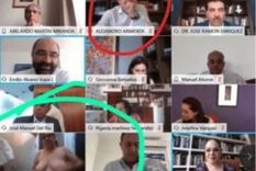 papelon en vivo: topless involuntario de una senadora mexicana en una sesion virtual