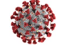 Cientos de miles de genomas del virus están siendo analizados alrededor del mundo. Foto: GETTY IMAGES