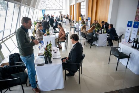 Vinexpo Explorer Mendoza 2026: The Bulk Wine Chapter pasó con éxito por la provincia con un gran potencial de negocios. Vinexpo Explorer Mendoza 2026: The Bulk Wine Chapter pasó con éxito por la provincia con un gran potencial de negocios.