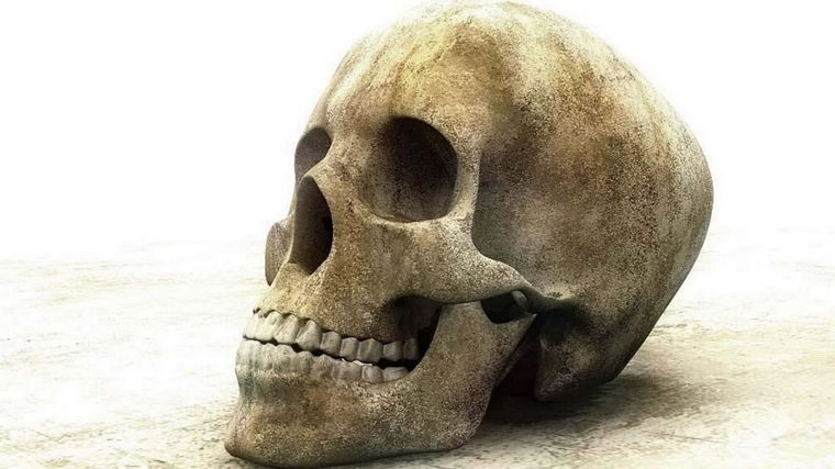 La sexta extinción masiva es un hecho. Foto: Getty Images.