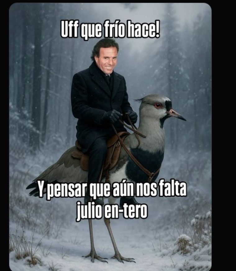 Los memes que recorren las redes sociales. Foto: X Los memes que recorren las redes sociales. Foto: X