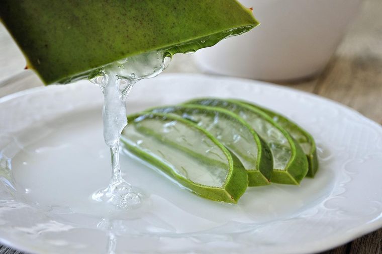 El aloe vera tiene importantes beneficios para la piel. Foto: Pixabay - pixabay.com