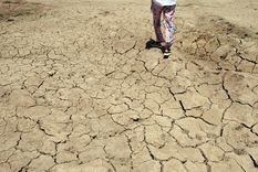 La sequía se podría intensificar si no se toman las medidas adecuadas Foto: ALF PONCE MERCADO / MDZ