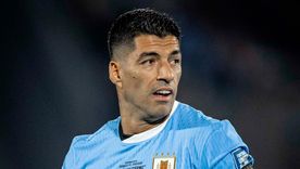 Luis Suárez opinó sobre la polémica de la cantidad de Mundiales de Uruguay. Luis Suárez opinó sobre la polémica de la cantidad de Mundiales de Uruguay.