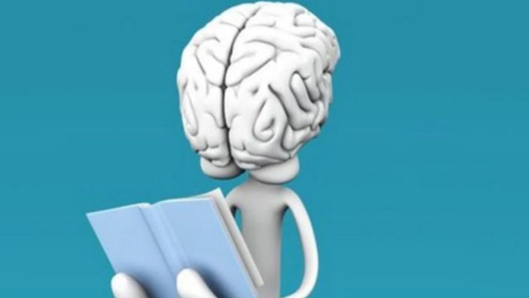 Cuando se estudia a las personas con déficit de atención, por ejemplo, se puede ver en las imágenes de resonancia, una actividad anormal en el cerebro. Foto: MDZ