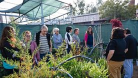 Godoy Cruz puso en marcha “Legado Verde”. Godoy Cruz puso en marcha “Legado Verde”.