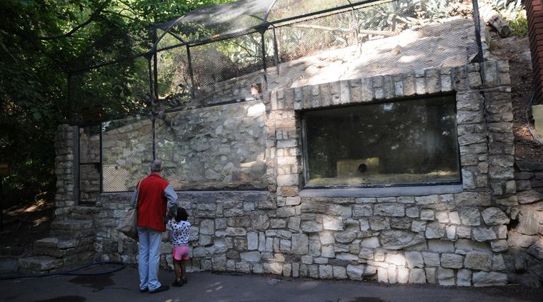 Foto: Pachy Reynoso/MDZ