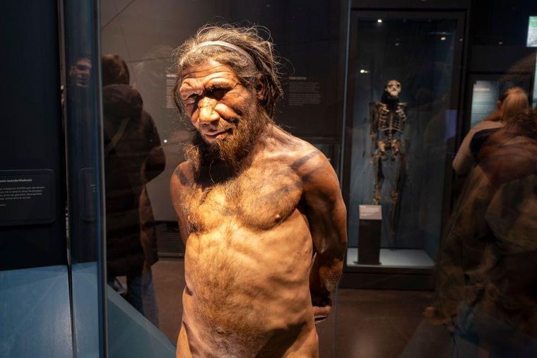 Hoy en día está probado que los neandertales y humanos modernos se cruzaron.
