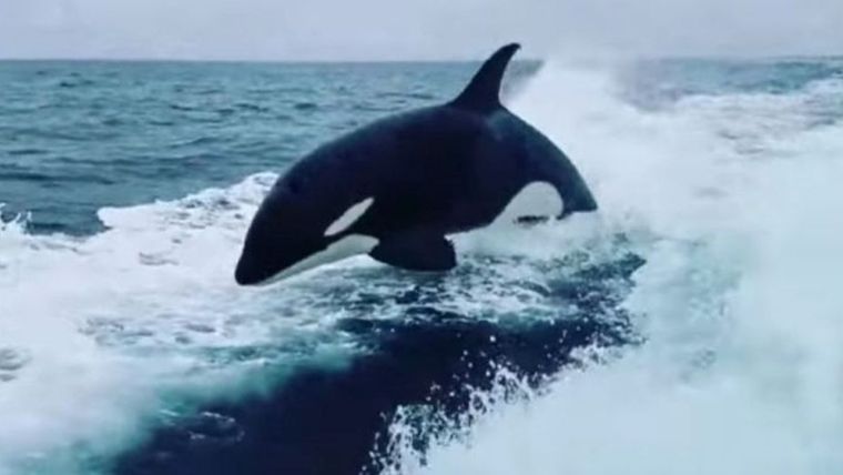 Increíbles imágenes.