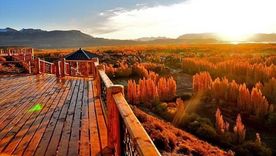 Estos pueblos invitan a conocer otra cara de la Patagonia, lejos del turismo masivo. Foto: Turismo Los Antiguos