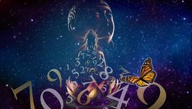 Estos son los números de la suerte de hoy. Estos son los números de la suerte de hoy.