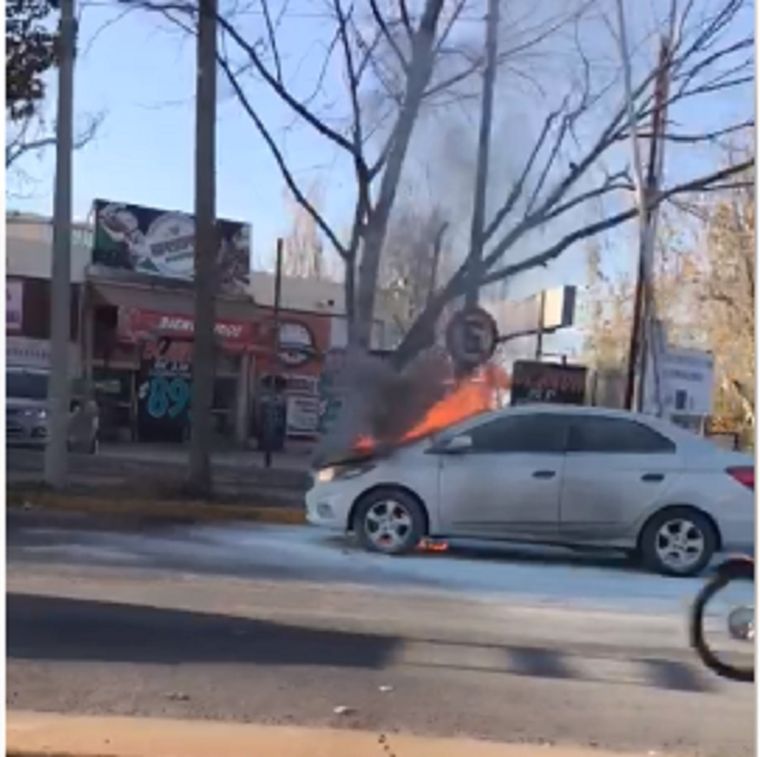 Foto: Gonzalo Santo Tomás.