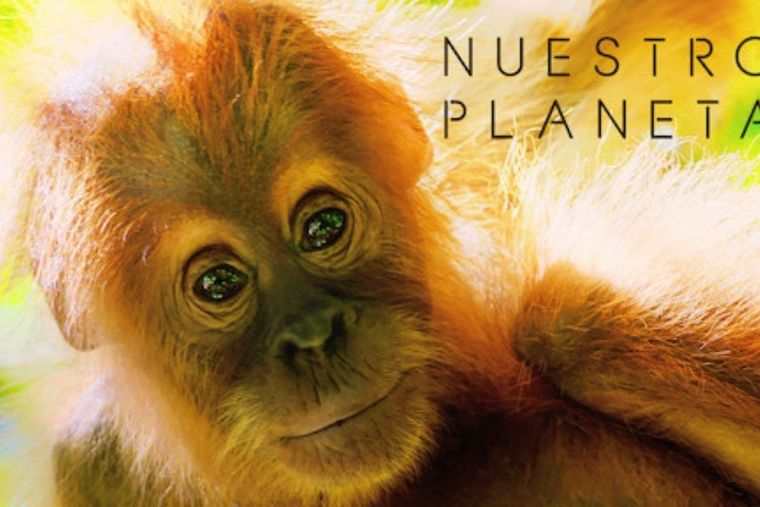 Netflix Netflix y un buen documental Foto: Netflix