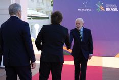 El frío saludo de Javier Milei y Lula da Silva en la última cumbre del Mercosur en Foz de Iguazú.