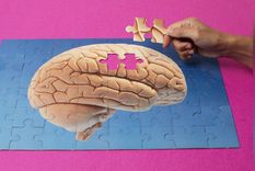 El cerebro registra actividad, aun con el corazón detenido. Foto: Semana.