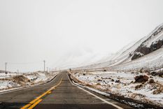 Foto: Santiago Tagua/MDZ Foto: Santiago Tagua/MDZ