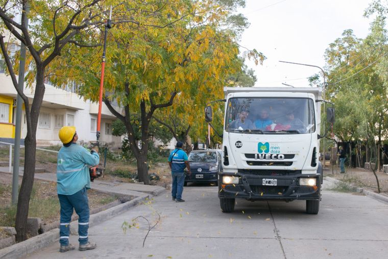 Cuadrillas municipales trabajan en arbolado, plazas y limpieza de barrios.