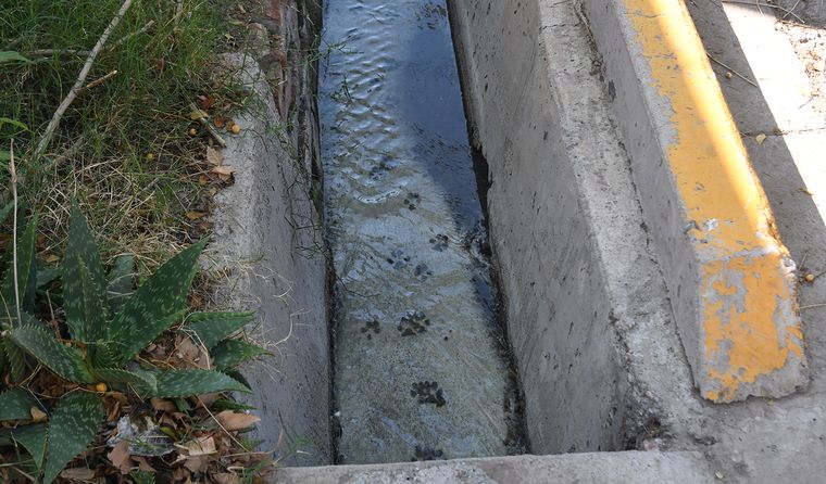 Vecinos de San José denuncian que la pérdida cloacal persiste desde 2025 y aseguran que conviven a diario con olor nauseabundo y acequias contaminadas. Vecinos de San José denuncian que la pérdida cloacal persiste desde 2025 y aseguran que conviven a diario con olor nauseabundo y acequias contaminadas.