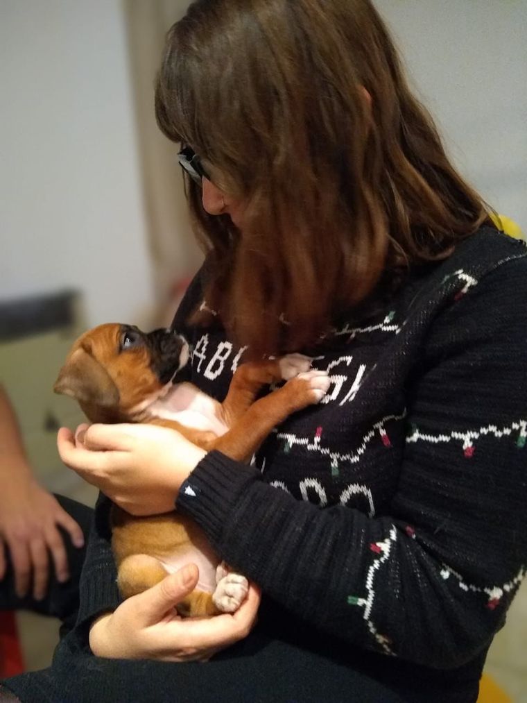 Qué hace la Justicia tras una separación cuando hay un animal en común.&nbsp;