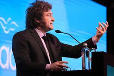 Javier Milei mantiene su imagen positiva en gran parte del país. Foto: EFE