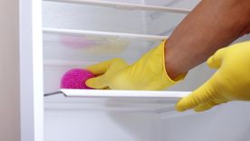 La limpieza del refrigerador ayuda a mantenerlo libre de olores. Foto: Fuente: Shutterstock