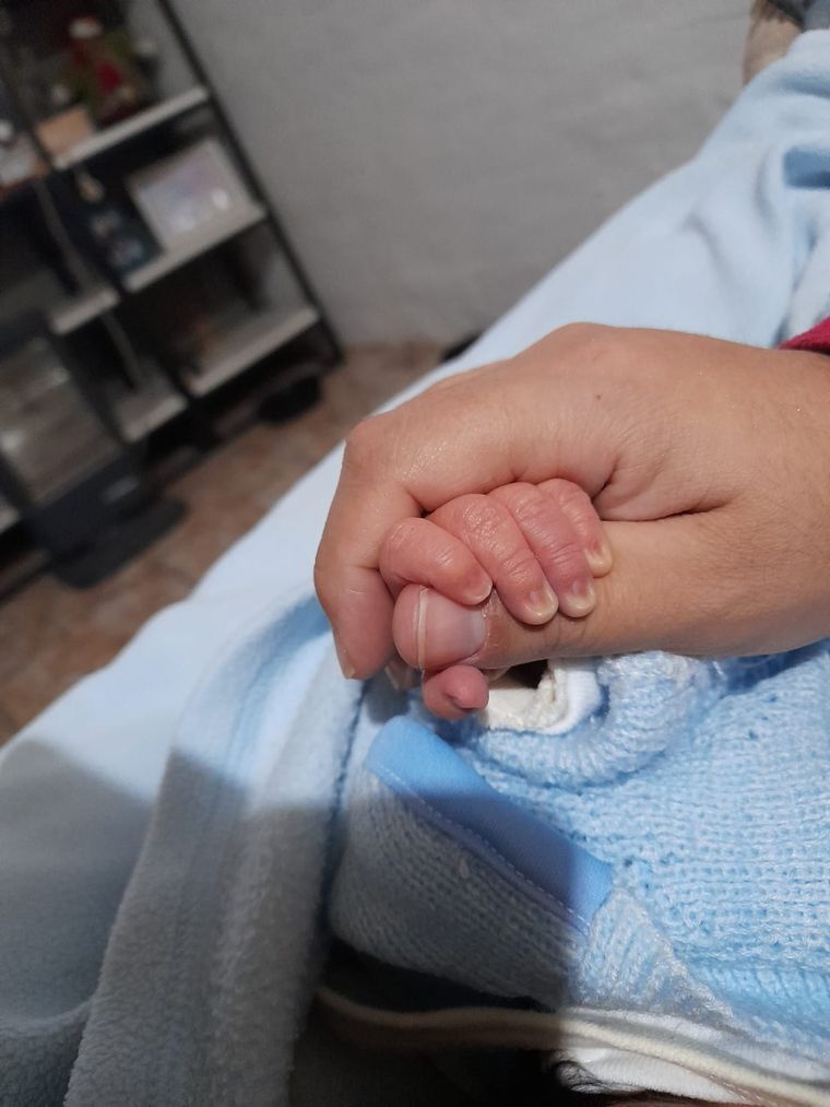 Una fecha clave para reflexionar sobre el impacto de lo que comemos no solo en nuestra salud física, sino también en nuestro bienestar emocional y reproductivo. Foto: Archivo MDZ