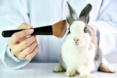 Con este artículo, podrás saber cómo elegir correctamente los productos cruelty free Foto: Shutterstock